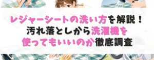 レジャーシートの洗い方を解説！汚れ落としから洗濯機を使ってもいいのか徹底調査